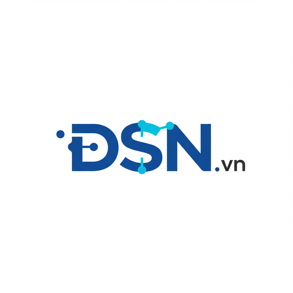 Hướng dẫn SEO DSN Việt Nam