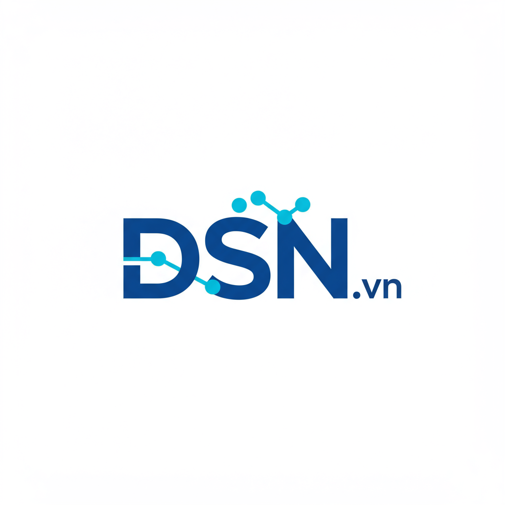 Bản đồ DSN Việt Nam